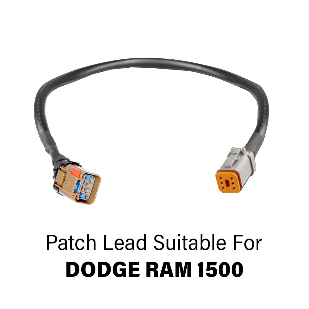 Dodge RAM1500 Tail Light Patch Lead (2 Pack)