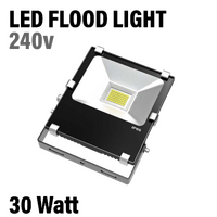 30 Watt LED Flood Light